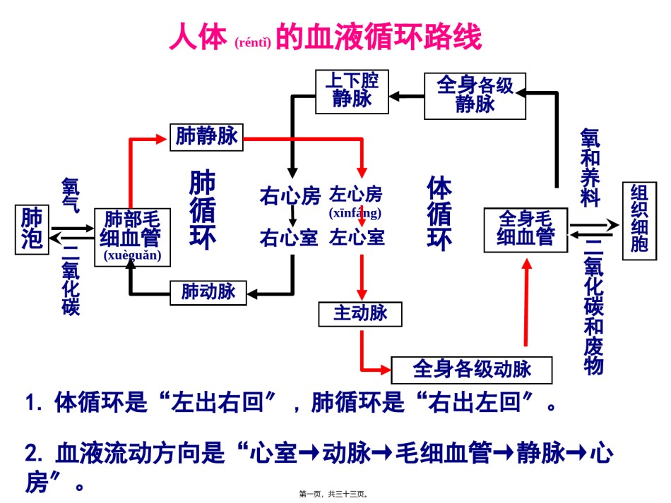 2022年医学专题—4人体的排泄PPT2.ppt_第1页