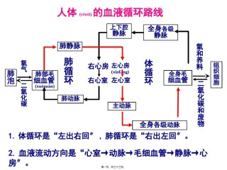2022年医学专题—4人体的排泄PPT2.ppt