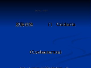 2022年医学专题—5-腔肠动物门.ppt