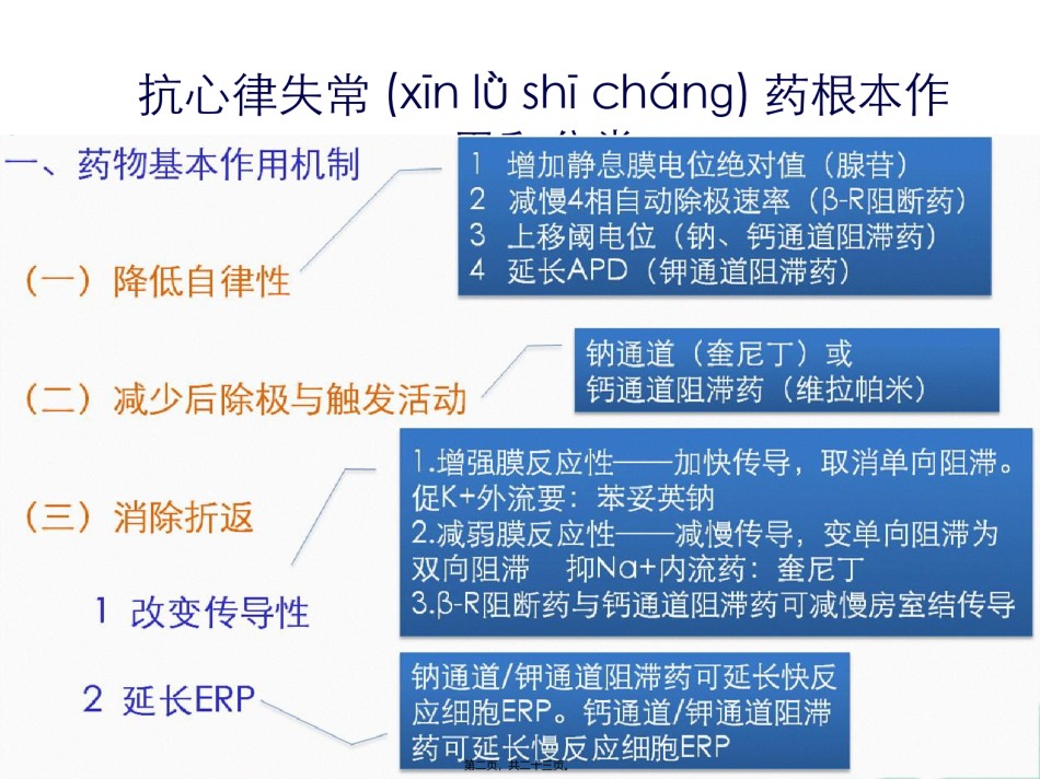 2022年医学专题—5-循环--2-抗心律失常药.ppt_第2页