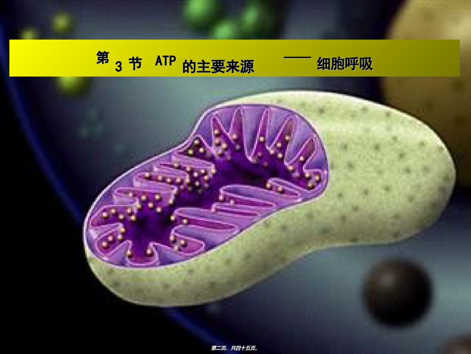 2022年医学专题—5.3ATP的主要来源──细胞呼吸(用)概述.ppt_第2页