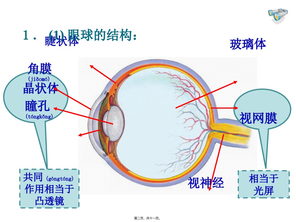 2022年医学专题—5.4眼睛和眼镜.ppt_第2页