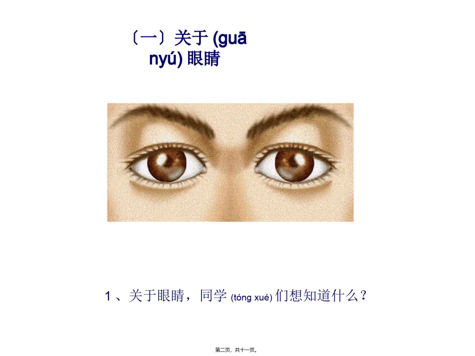 2022年医学专题—5.4眼睛和眼镜PPT.ppt_第2页