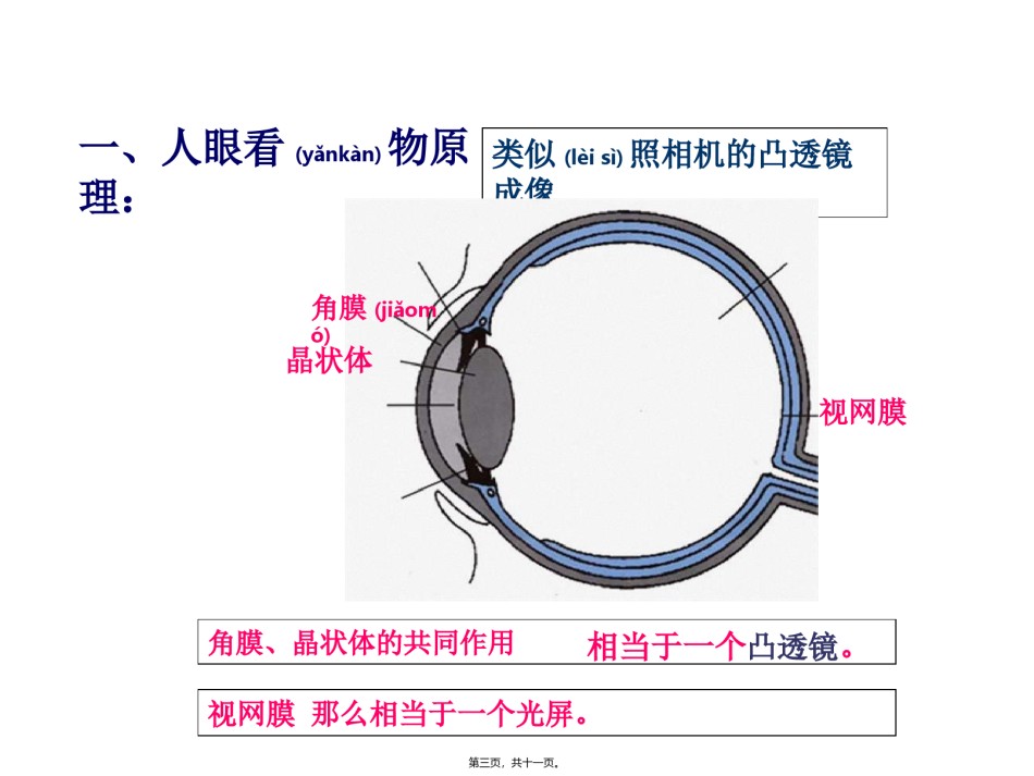 2022年医学专题—5.4眼睛和眼镜PPT.ppt_第3页