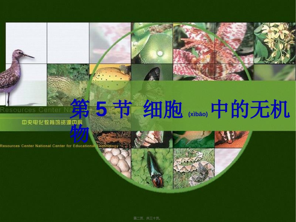 2022年医学专题—5细胞中的无机物1.ppt_第2页