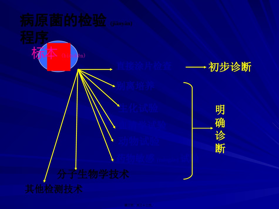 2022年医学专题—5细菌感染的检查与防治.ppt_第3页