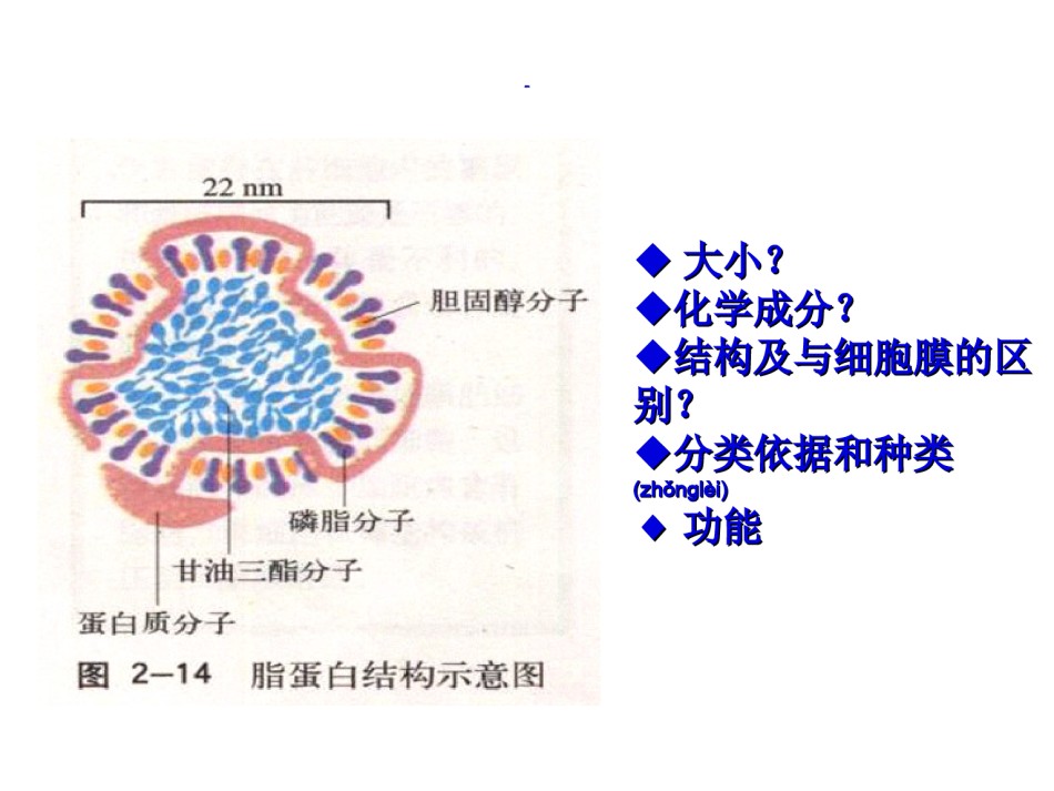 2022年医学专题—5血脂调节.ppt_第3页