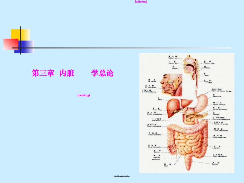 2022年医学专题—6--内脏学-消化.ppt_第1页