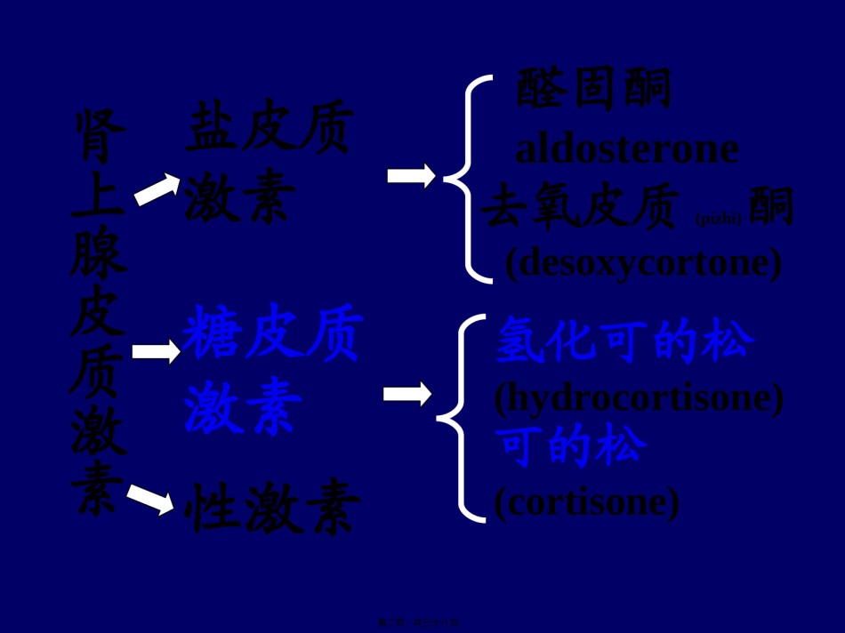 2022年医学专题—6.7拟抗副交感神经药2-(2).ppt_第2页