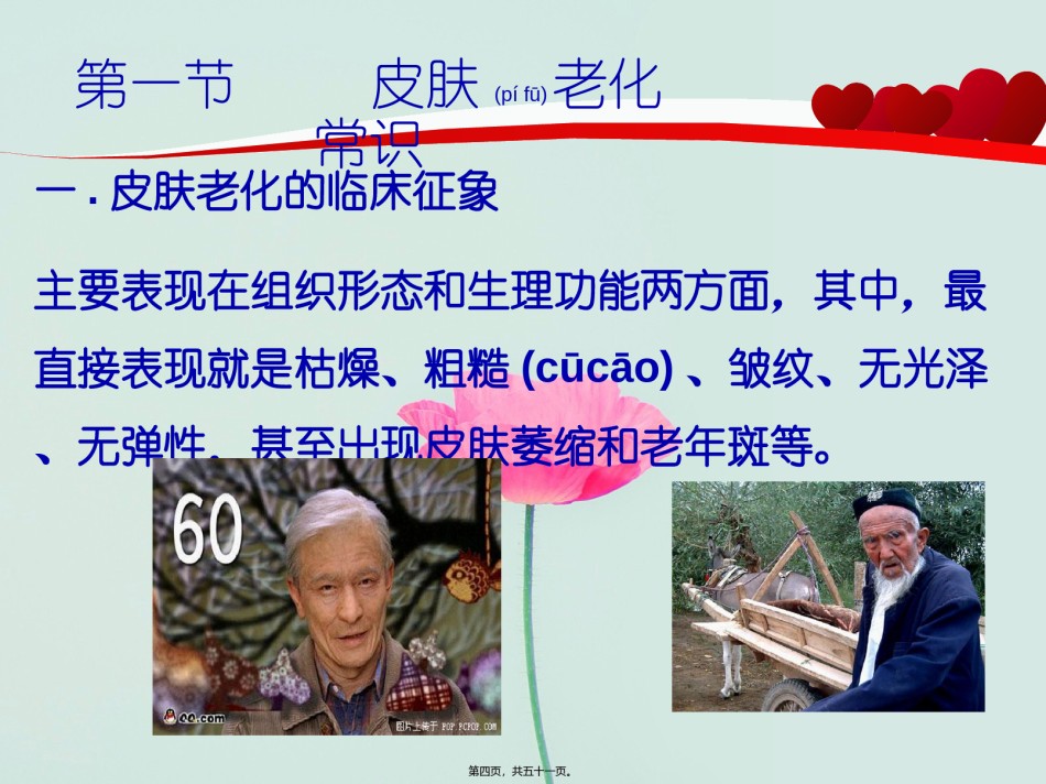 2022年医学专题—6延缓皮肤衰老药.ppt_第3页