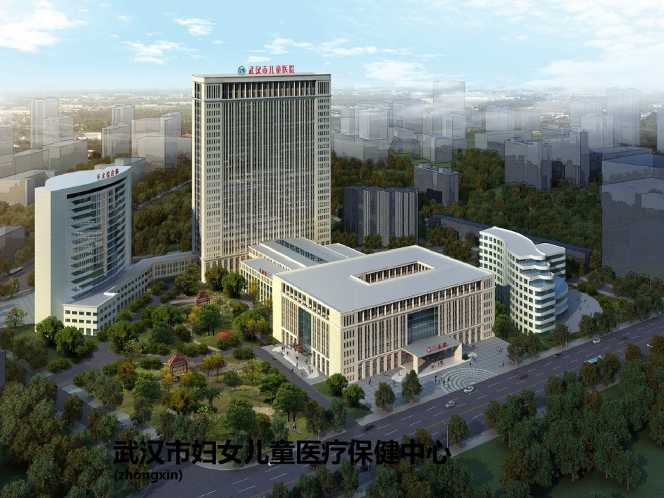 2022年医学专题—7武汉市儿童医院-刘峰-大胆尝试-小心求证-奥诺美在小儿术后镇痛的应用.pptx_第1页