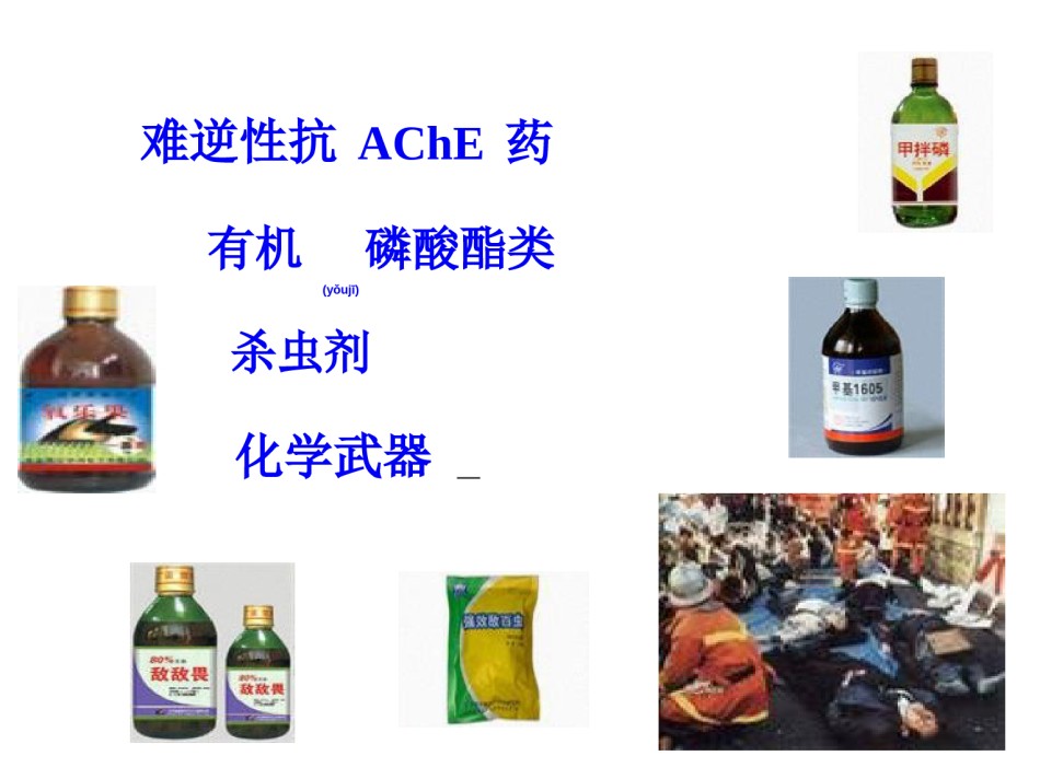 2022年医学专题—7有机磷农药中毒解救.ppt_第2页