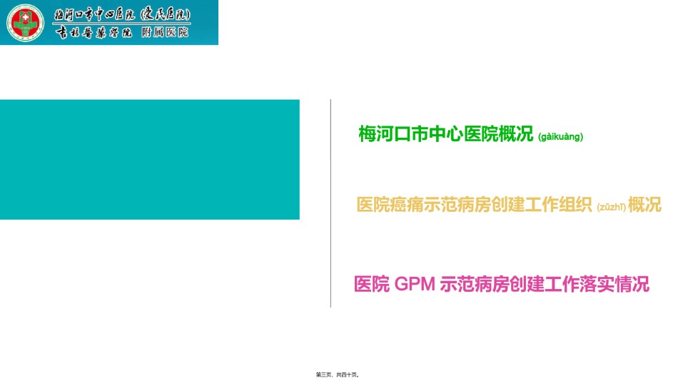 2022年医学专题—癌痛病房评审.pptx_第3页