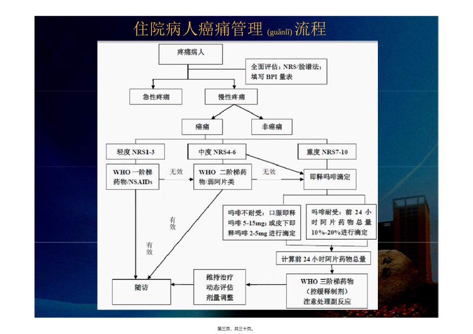 2022年医学专题—癌痛滴定2012-11-20-终版.ppt_第3页