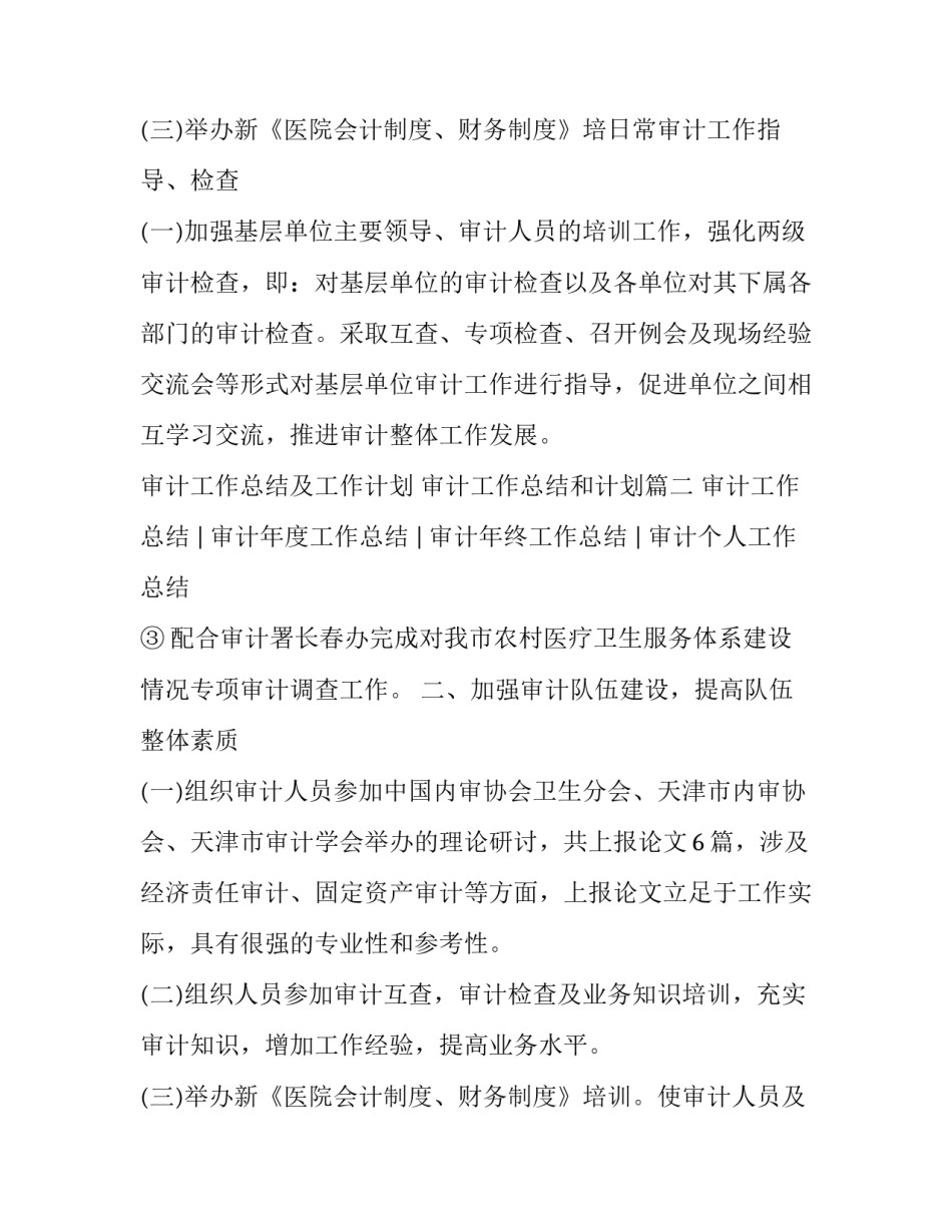 2023年审计工作总结及工作计划 审计工作总结和计划(4篇)_第3页
