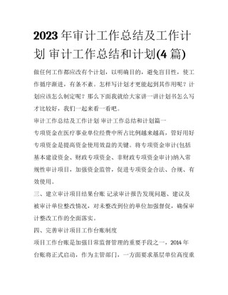 2023年审计工作总结及工作计划 审计工作总结和计划(4篇)