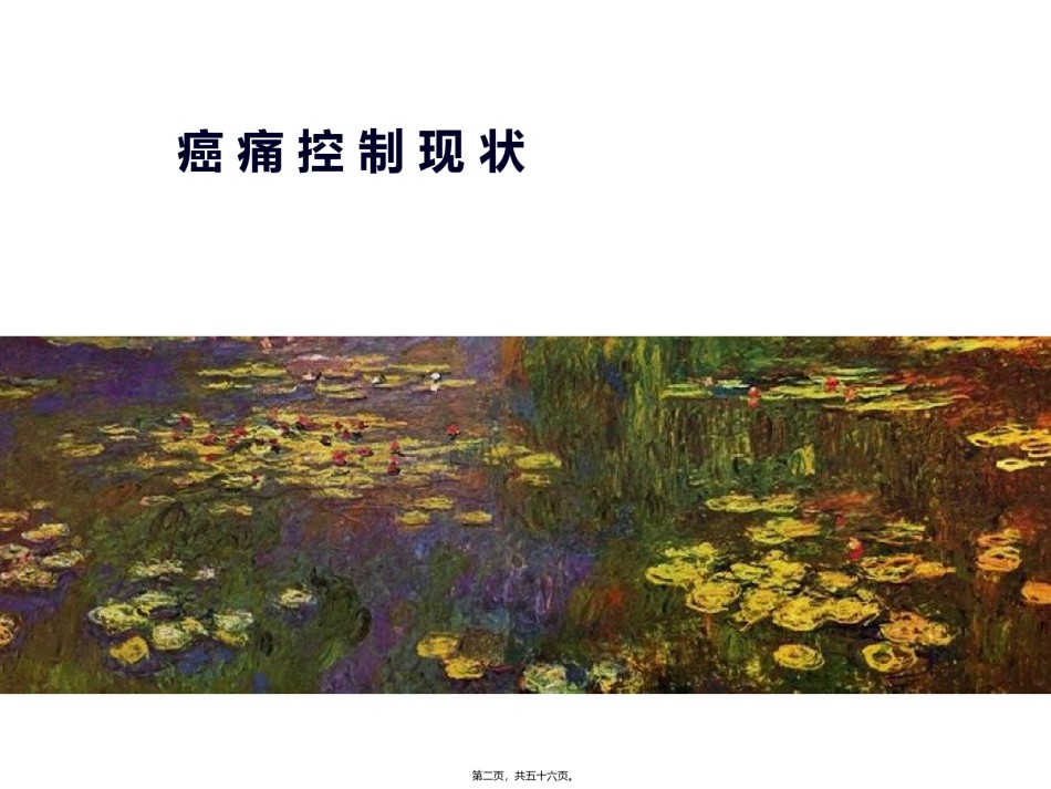 2022年医学专题—癌痛患者的充分镇痛探讨-2015.ppt_第2页