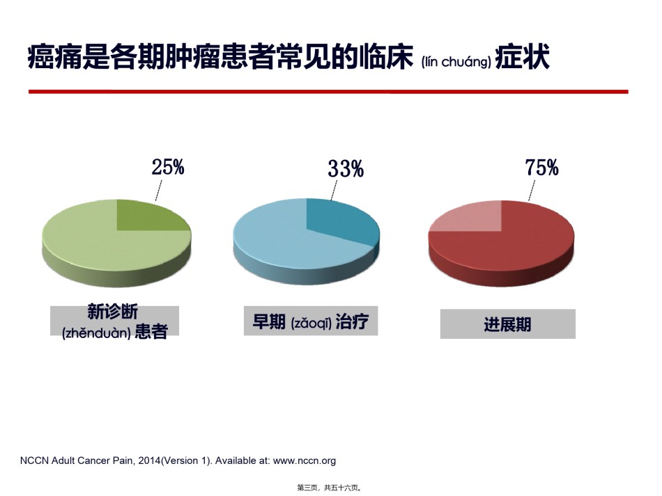 2022年医学专题—癌痛患者的充分镇痛探讨-2015.ppt_第3页