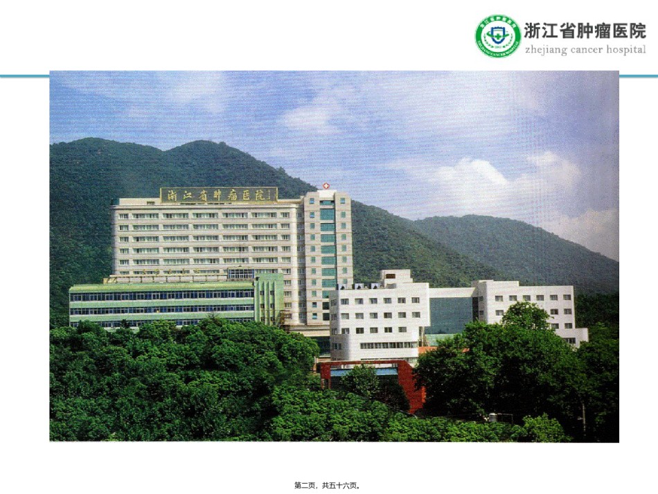 2022年医学专题—癌痛与吗啡-孔祥鸣.ppt_第2页