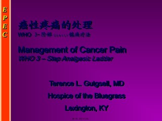 2022年医学专题—癌性疼痛的处理.ppt