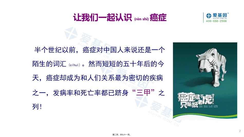 2022年医学专题—癌症健康讲座2018.pptx_第2页