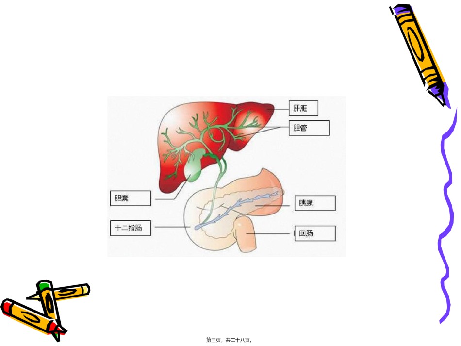 2022年医学专题—爱爱医资源-肝内胆管结石。.ppt_第3页