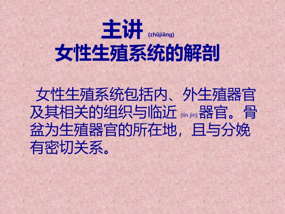 2022年医学专题—爱爱医资源-女性生理-生殖系统器官----彩图照片写实。男性勿看。.ppt_第2页