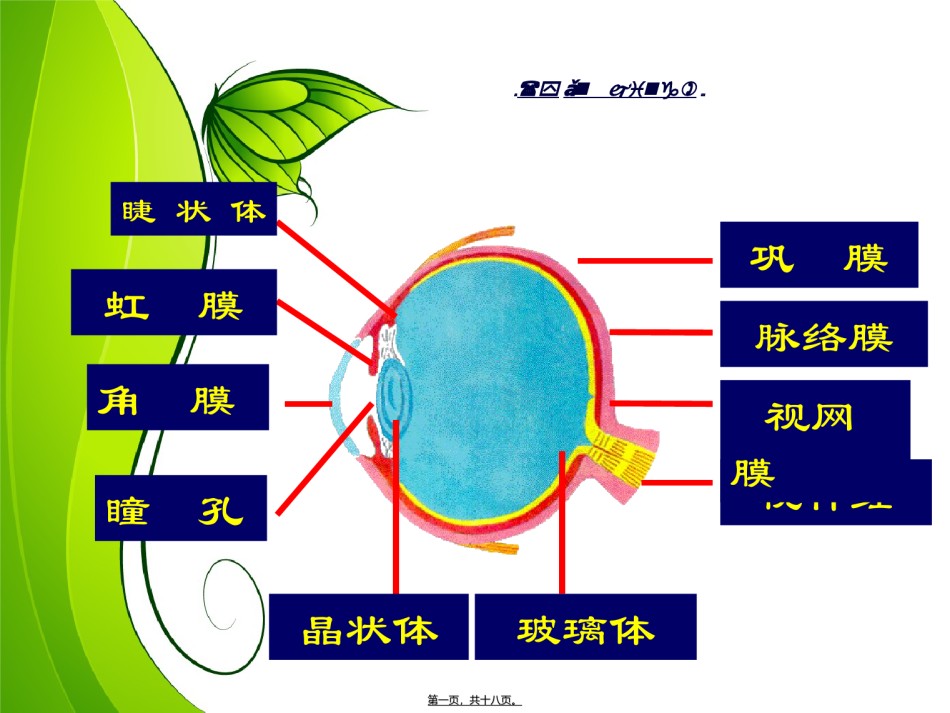 2022年医学专题—爱眼镜爱视力.ppt_第1页