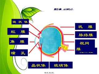 2022年医学专题—爱眼镜爱视力.ppt