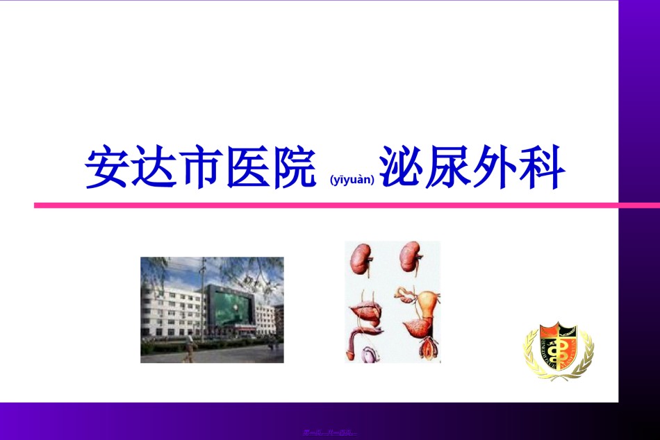 2022年医学专题—安达泌尿外科2.ppt_第1页