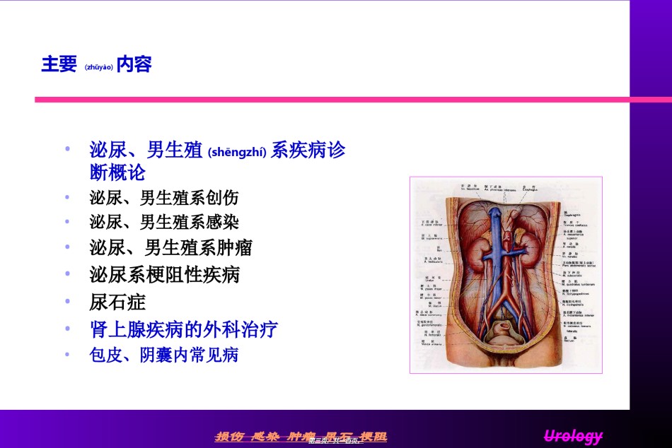 2022年医学专题—安达泌尿外科2.ppt_第3页