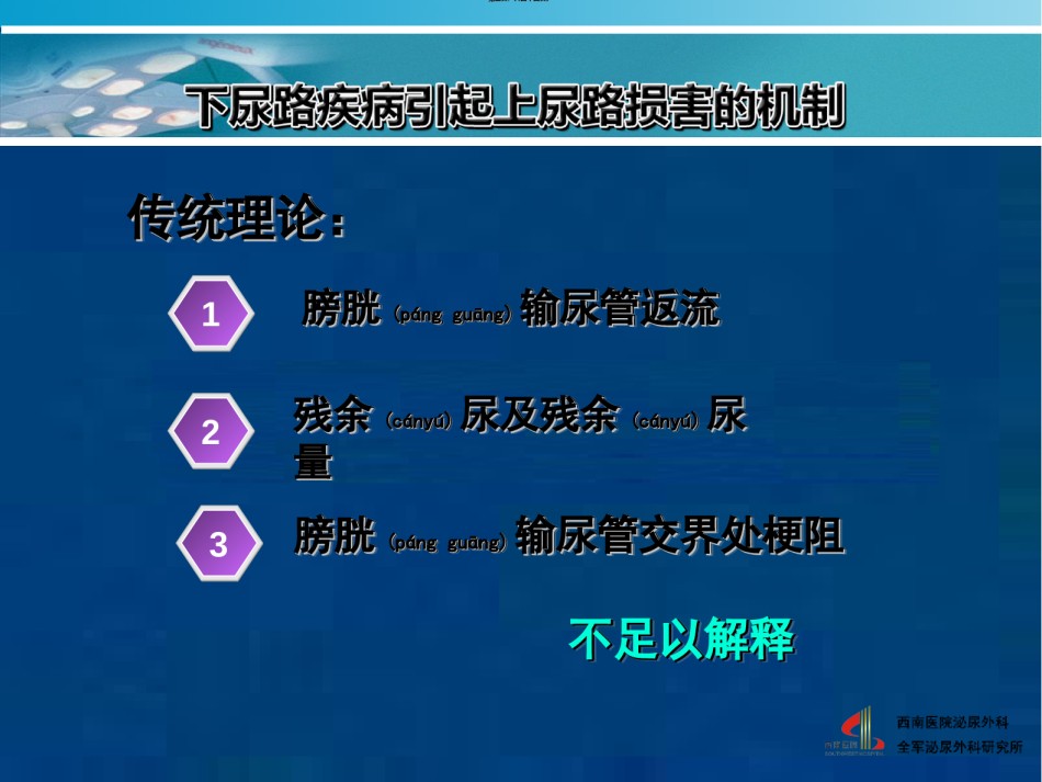 2022年医学专题—安全膀胱-2010尿控会.ppt_第2页