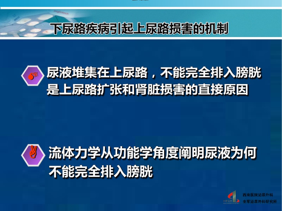 2022年医学专题—安全膀胱-2010尿控会.ppt_第3页