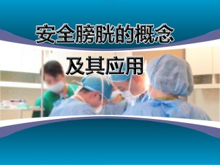 2022年医学专题—安全膀胱-2010尿控会.ppt