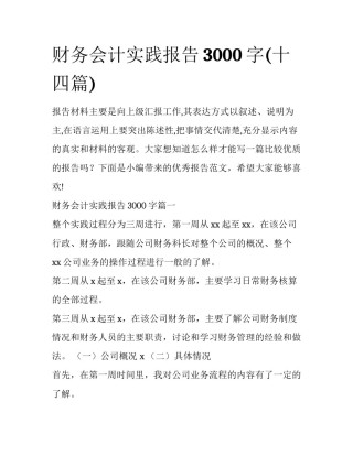财务会计实践报告3000字(十四篇)