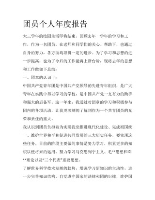 团员个人年度报告
