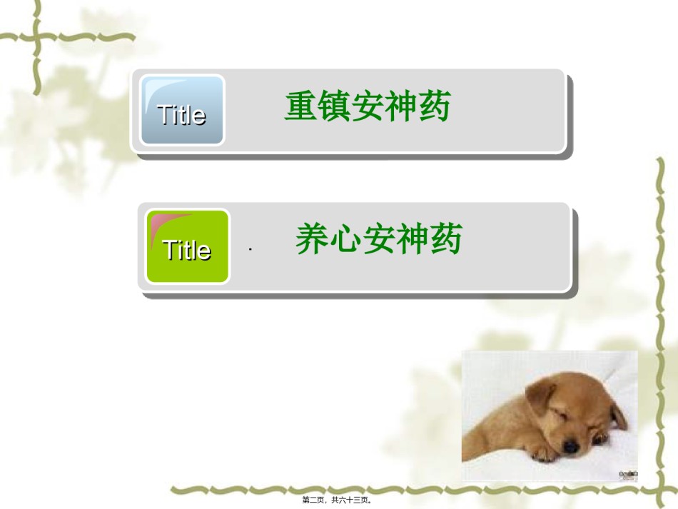 2022年医学专题—安神药改.ppt_第2页