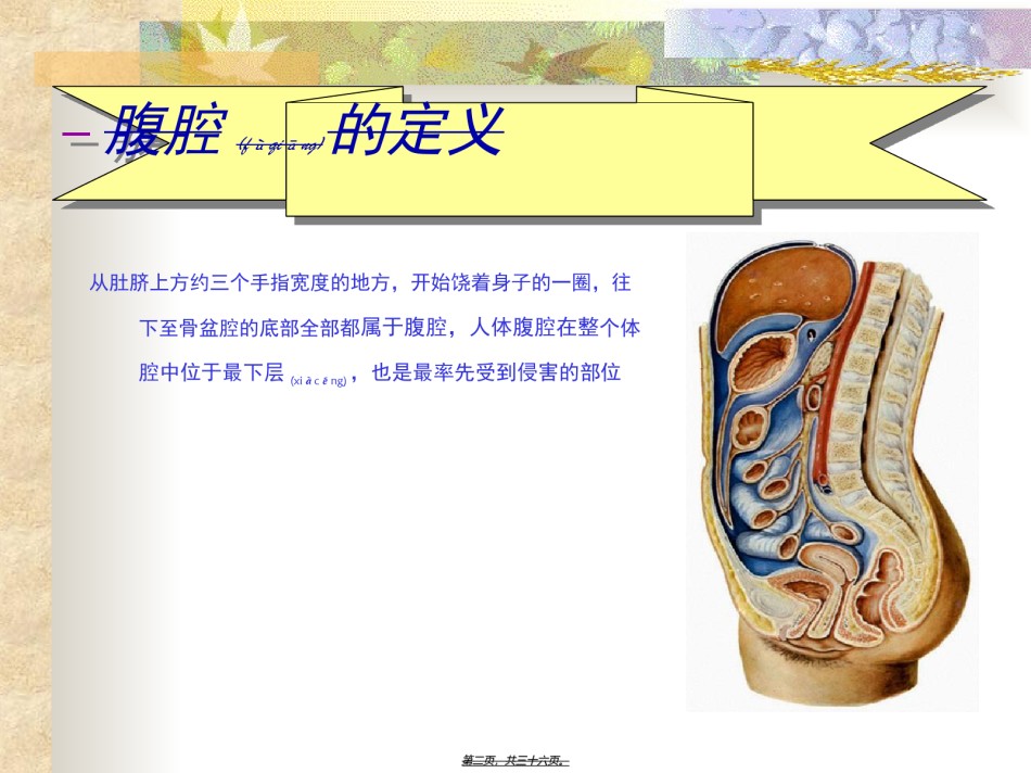2022年医学专题—胺其那腹腔保养.ppt_第2页