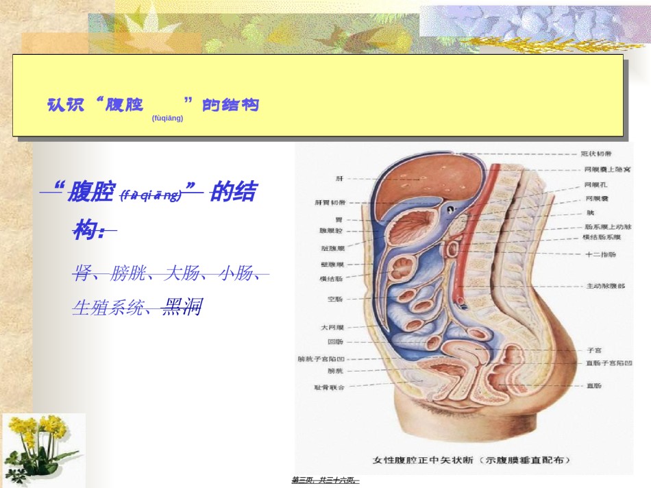 2022年医学专题—胺其那腹腔保养.ppt_第3页