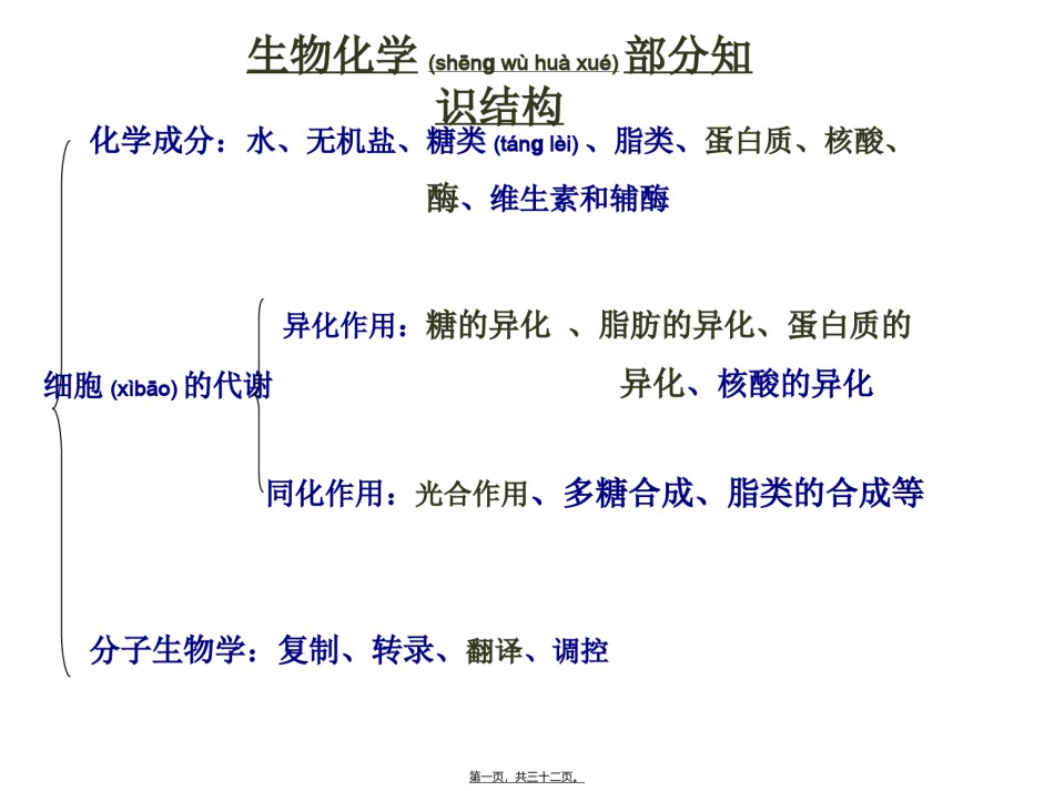 2022年医学专题—奥赛辅导---蛋白质概述.ppt_第1页