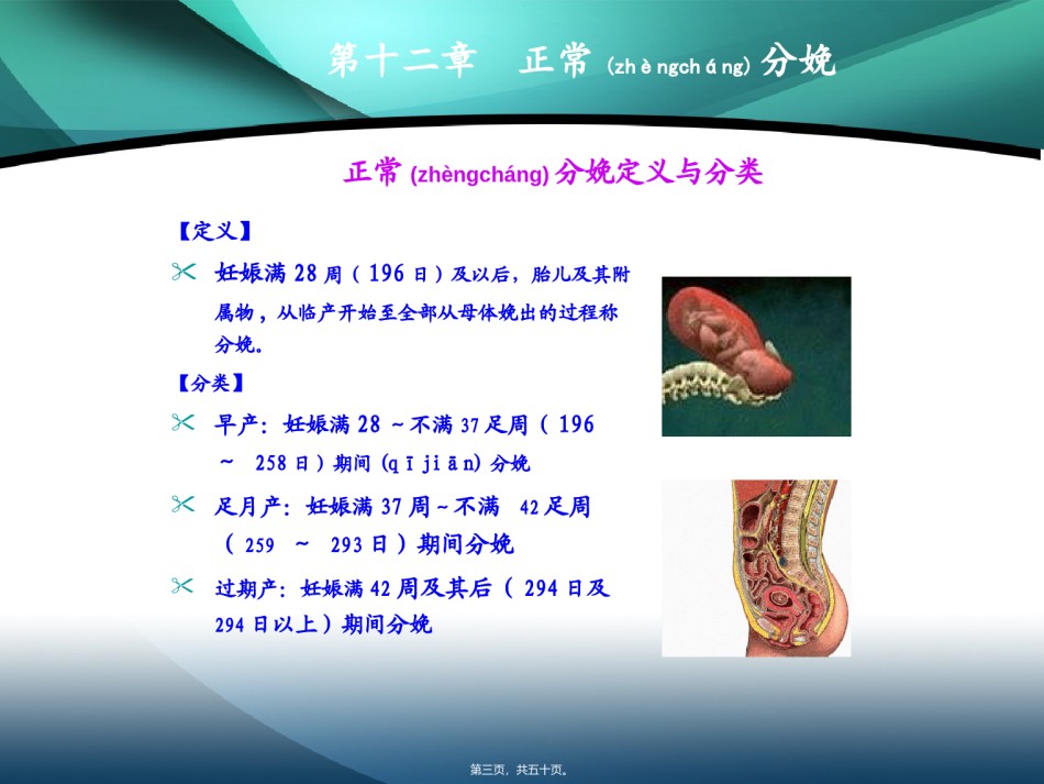 2022年医学专题—八年制正常分娩.ppt_第3页