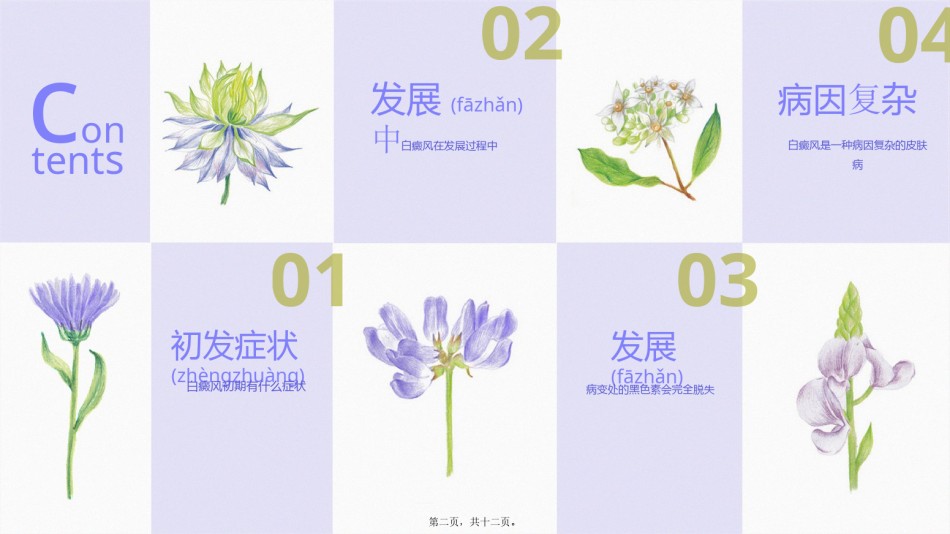2022年医学专题—白癜风初期症状.pptx_第2页