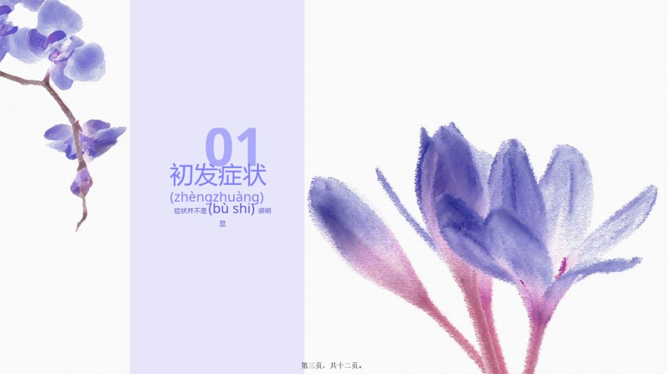 2022年医学专题—白癜风初期症状.pptx_第3页