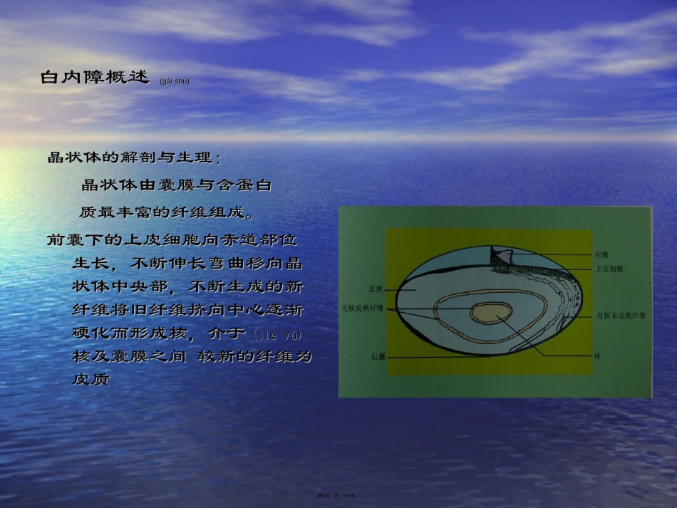 2022年医学专题—白内障123.ppt_第3页