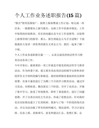个人工作业务述职报告(15篇)