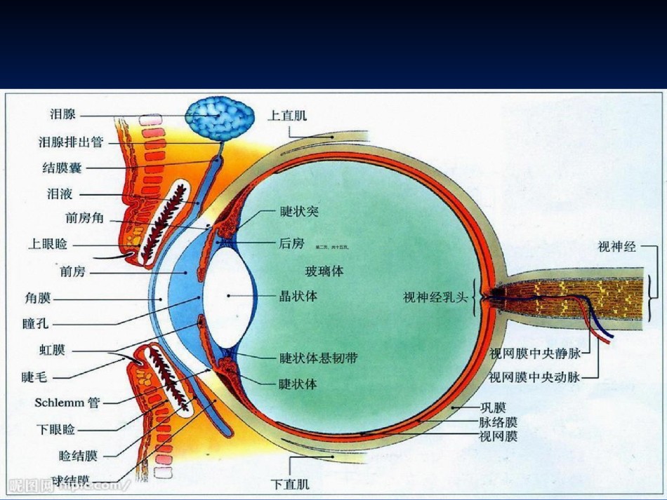 2022年医学专题—白内障宣教.ppt_第2页