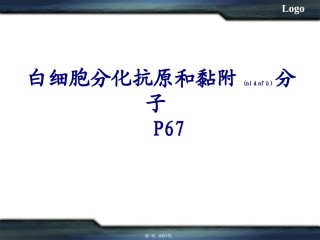 2022年医学专题—白细胞分化抗原和黏附分MHC.ppt