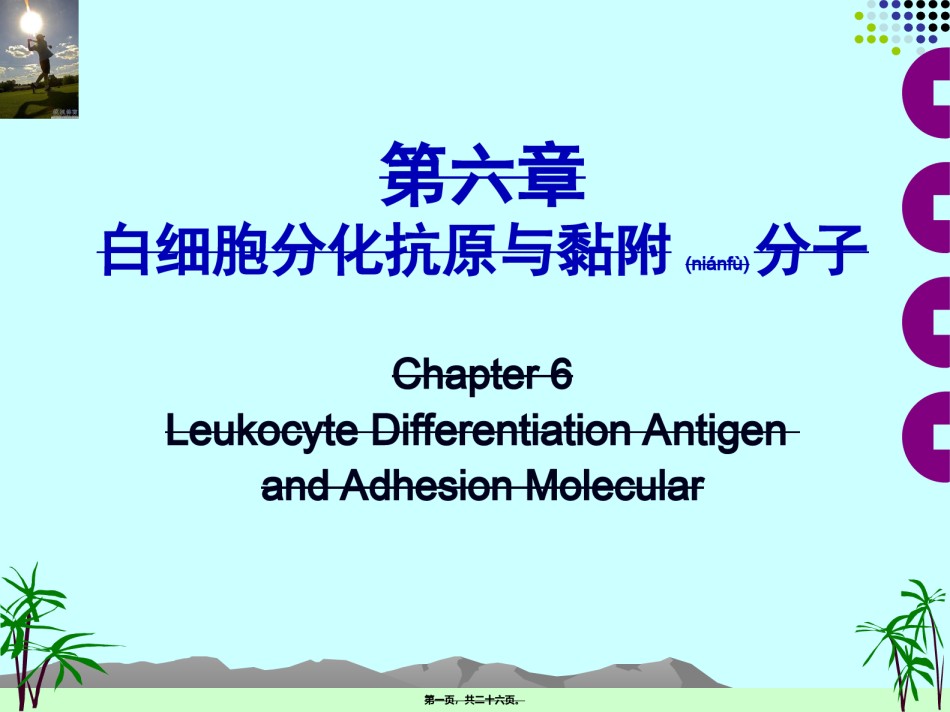 2022年医学专题—白细胞分化抗原与黏附分子.ppt_第1页
