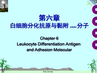 2022年医学专题—白细胞分化抗原与黏附分子.ppt