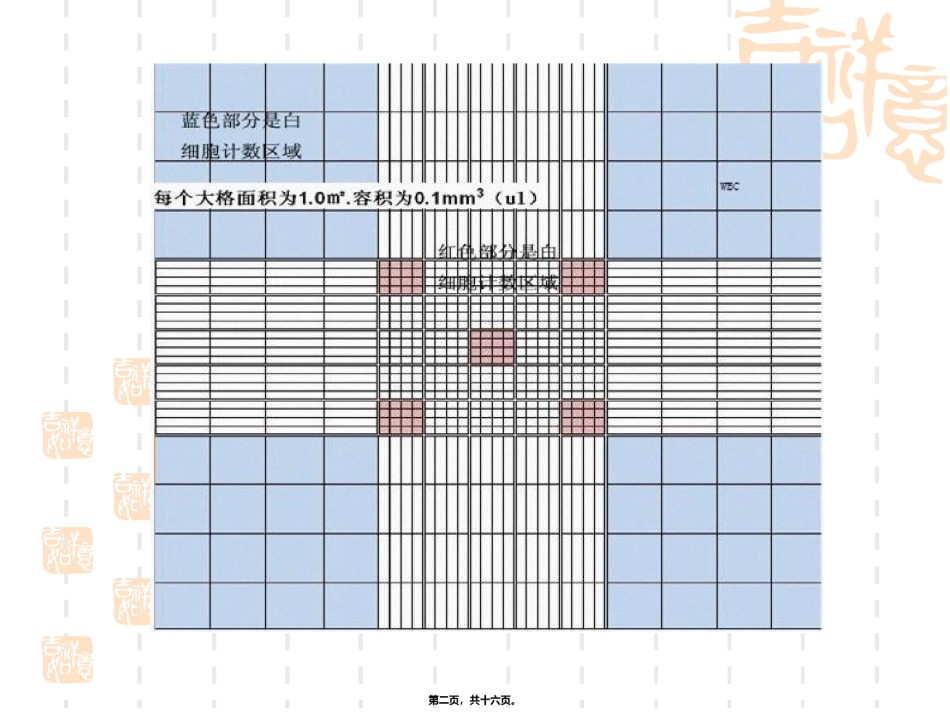 2022年医学专题—白细胞计数.ppt_第2页